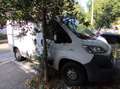 Fiat Ducato Furgone Bianco - thumbnail 7