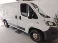 Fiat Ducato Furgone Bianco - thumbnail 4