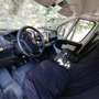Fiat Ducato Furgone Bianco - thumbnail 6