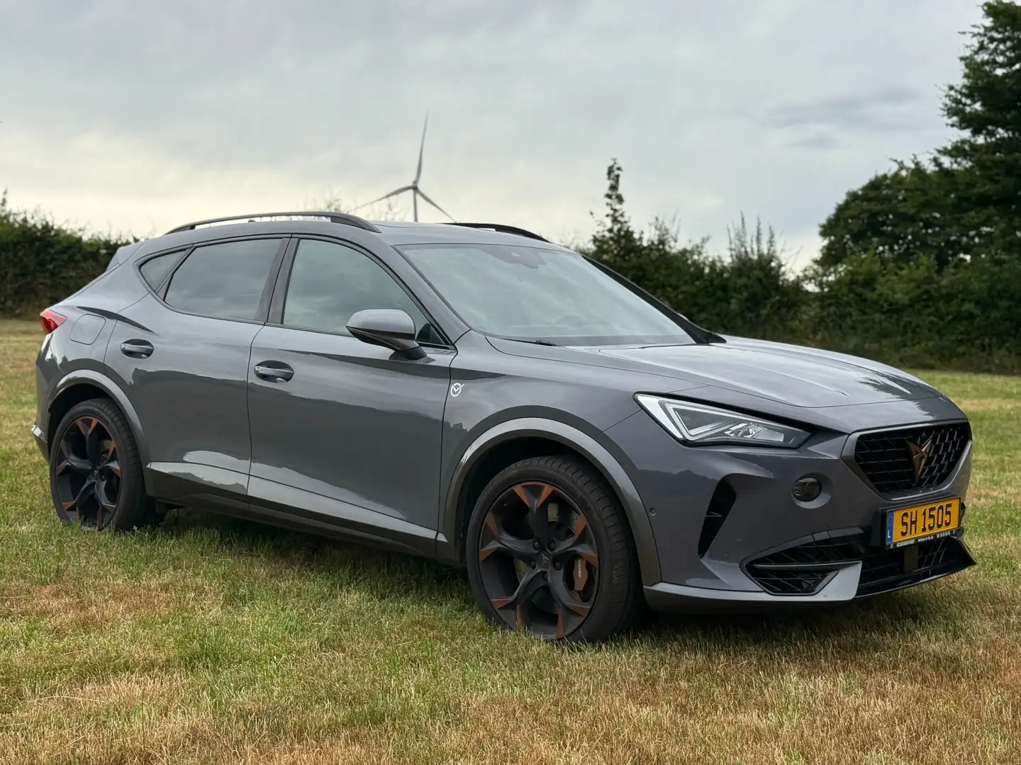 CUPRA Formentor Formentor VZ 2.0 TSI 4Drive DSG Gris - 1