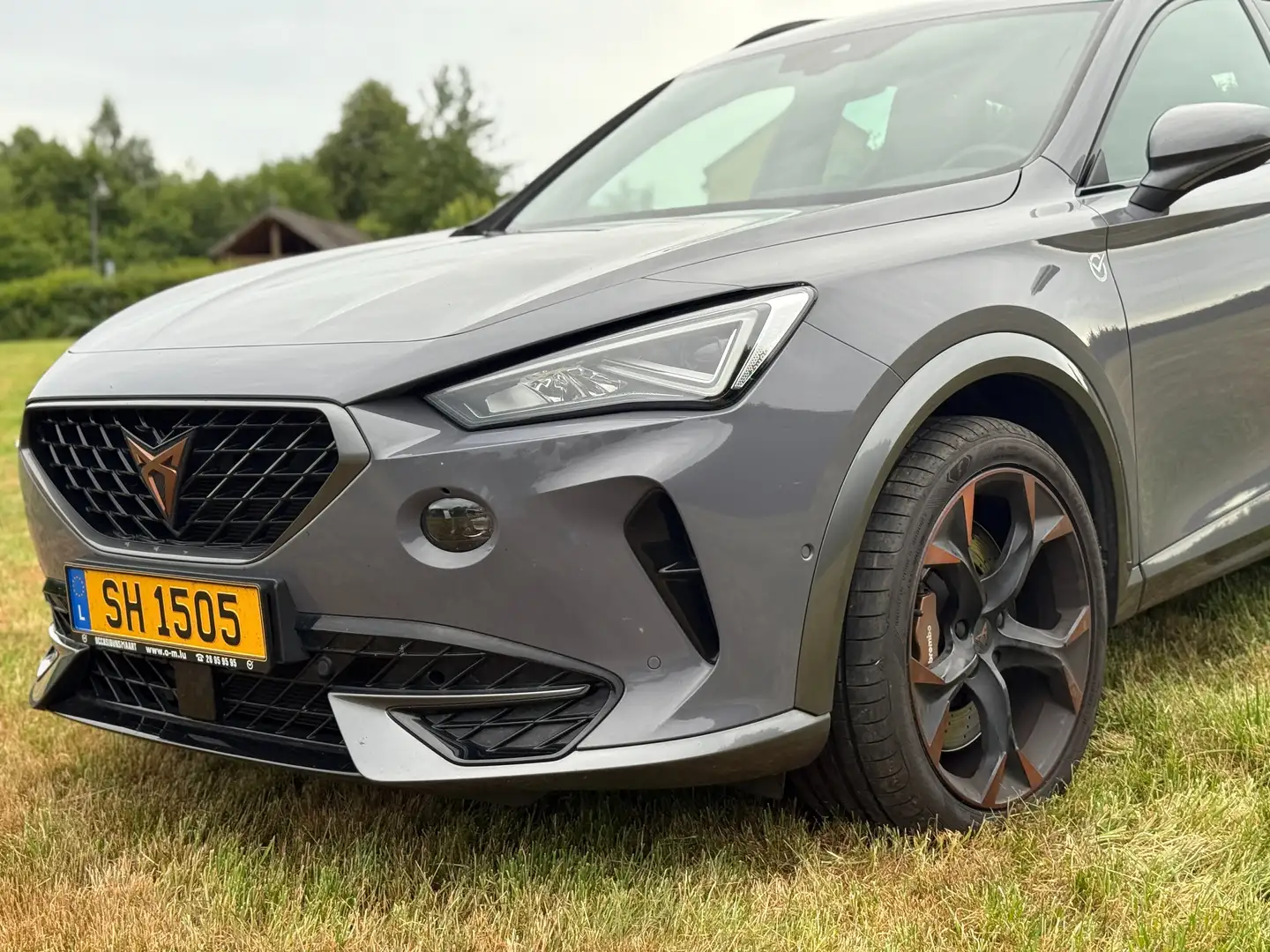 CUPRA Formentor Formentor VZ 2.0 TSI 4Drive DSG Gris - 2