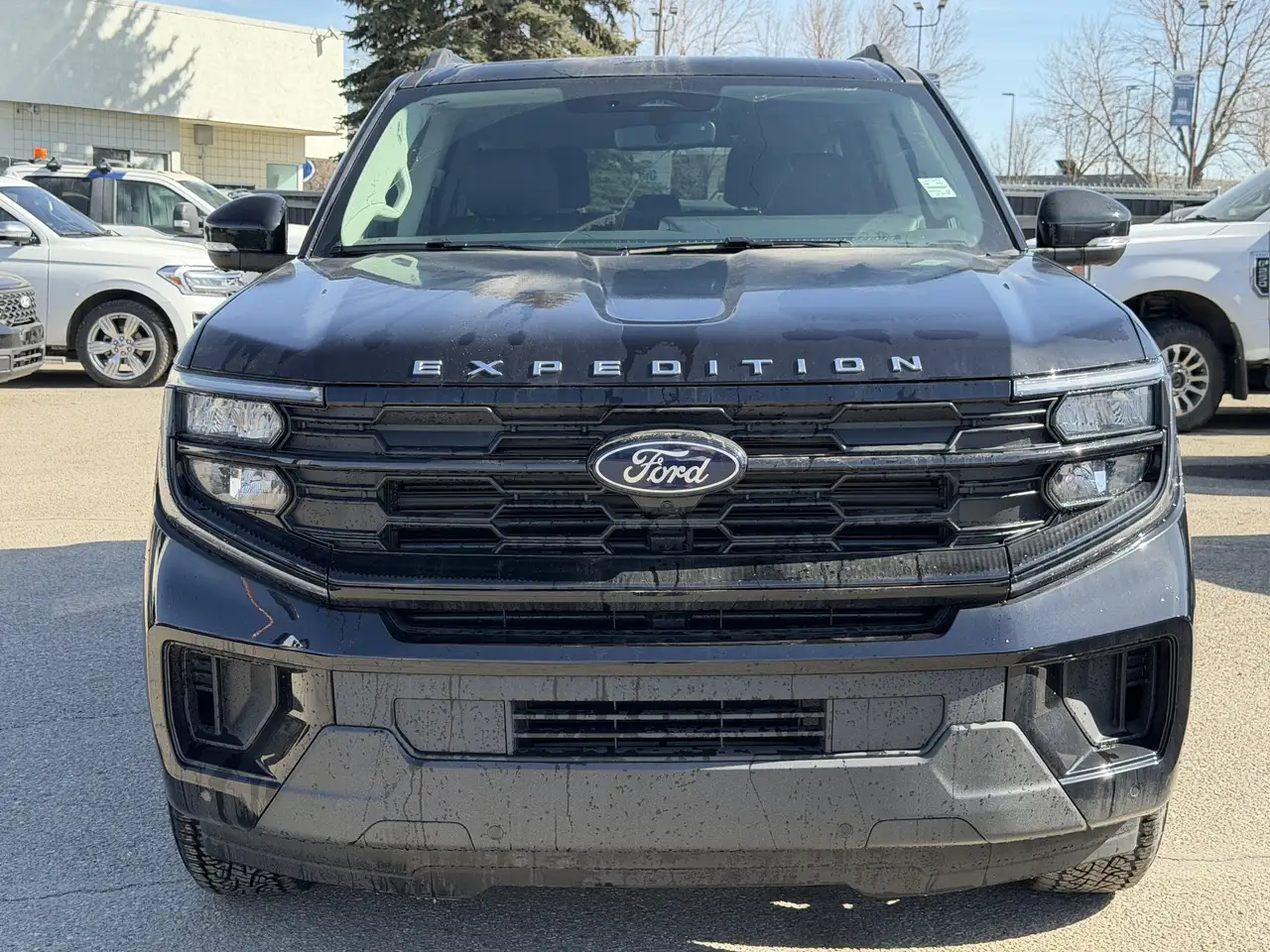 Ford Expedition снимка Ford Expedition