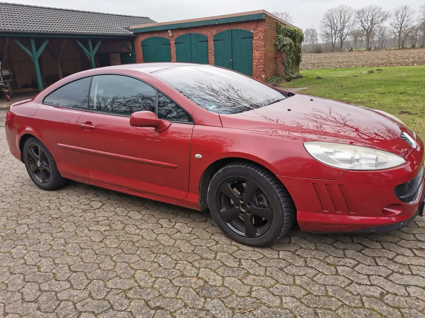 Peugeot 407 Coupe V6 HDi FAP 205 Platinum - 2