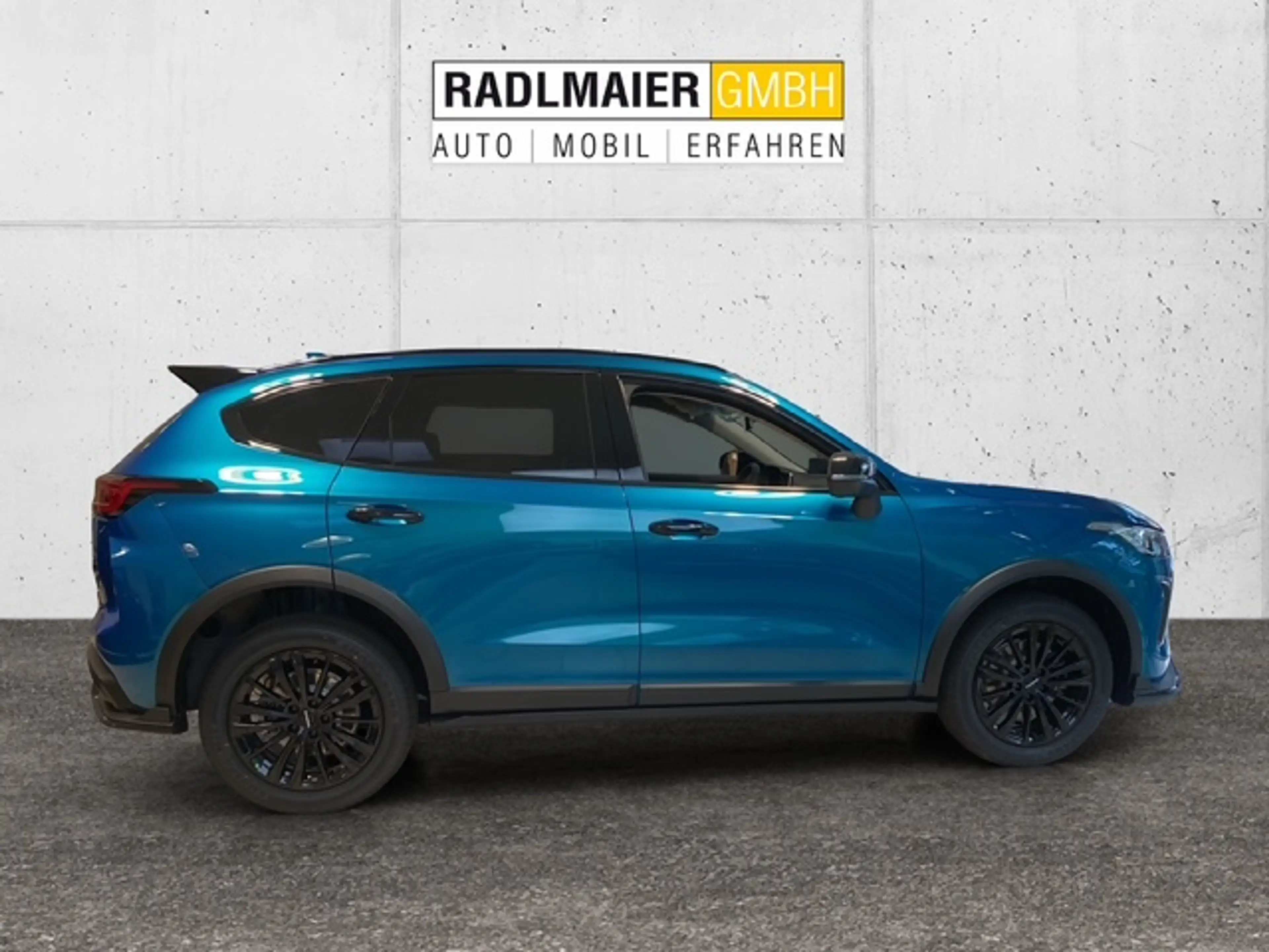 GWM HAVAL Jolion Pro Haval Jolion Pro Luxury 1.5 Turbo 7-DCT — photo 9