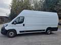 Fiat Ducato MAXI L4H3 Garantie bis 7/2027 Weiß - thumbnail 2