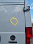 Fiat Ducato MAXI L4H3 Garantie bis 7/2027 Weiß - thumbnail 10