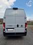 Fiat Ducato MAXI L4H3 Garantie bis 7/2027 Weiß - thumbnail 4
