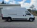 Fiat Ducato MAXI L4H3 Garantie bis 7/2027 Weiß - thumbnail 1