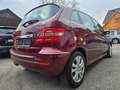 Mercedes-Benz B 200 *GEPFLEGT*TEILLEDER Rot - thumbnail 8