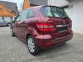 Mercedes-Benz B 200 *GEPFLEGT*TEILLEDER Rot - thumbnail 10
