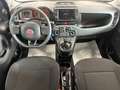 Fiat Panda 1.0 hybrid Cross * VARIE COLORAZIONI * Blu/Azzurro - thumbnail 13