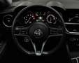 Alfa Romeo Stelvio Super Q4*R.Kamera*CarPlay*Navi*Leder*SHZ Rouge - thumbnail 25