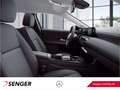 Mercedes-Benz A 250 e Business-Paket Sitzheizung CarPlay DAB Schwarz - thumbnail 9