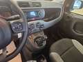 Fiat Panda 1.0 FireFly S&S Hybrid City Life Grigio - thumbnail 10