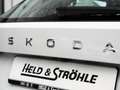 Skoda Fabia Selection 1.0 TSI ACC LED NAVI PDC RFK SHZ Weiß - thumbnail 12
