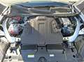 Volkswagen Touareg TDI Elegance Matrix AHK Navi ACC 360°Luft 20" T... Weiß - thumbnail 11