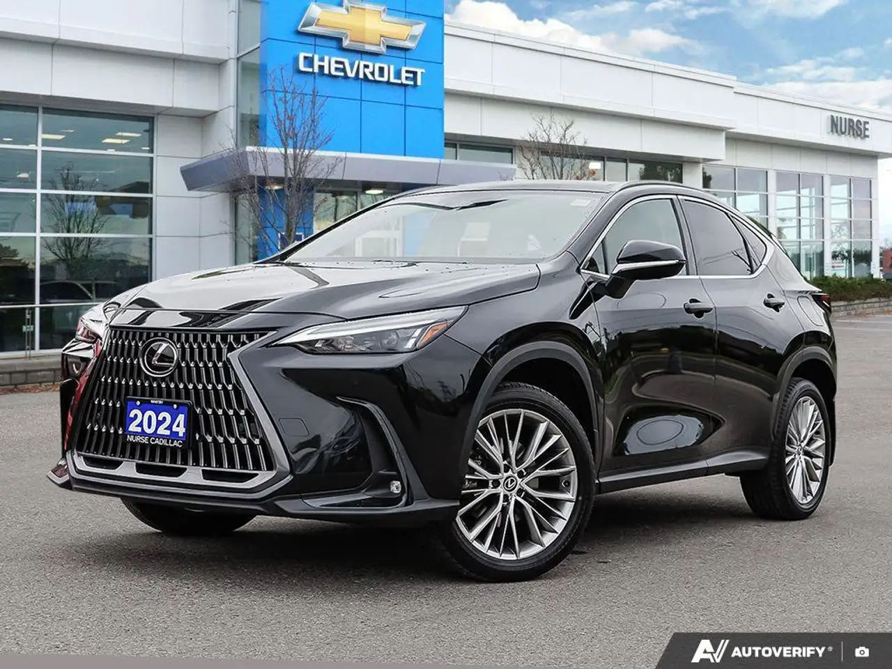 2024 Lexus NX
