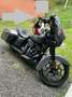Harley-Davidson Street Glide Spécial - thumbnail 9