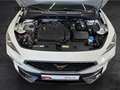 CUPRA Formentor 1.5 TSI Basis Winterpaket AppConnect LED Weiß - thumbnail 15