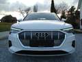 Audi e-tron 55 quattro 95kWh Advanced Mod 21 Nachtsicht - L... Weiß - thumbnail 1
