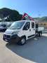 Fiat Ducato 2.3mjt 130cv CASSONE 7 POSTI CON GRU Bianco - thumbnail 6