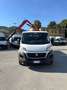 Fiat Ducato 2.3mjt 130cv CASSONE 7 POSTI CON GRU Bianco - thumbnail 7