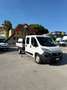 Fiat Ducato 2.3mjt 130cv CASSONE 7 POSTI CON GRU Bianco - thumbnail 1
