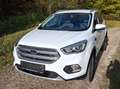 Ford Kuga Kuga 2,0 TDCi Titanium AWD Titanium Weiß - thumbnail 3