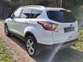 Ford Kuga Kuga 2,0 TDCi Titanium AWD Titanium Weiß - thumbnail 4