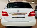 Mercedes-Benz B 180 CDI d DPF BlueEfficiency AHK XENON KAMERA Weiß - thumbnail 6