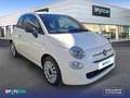 Fiat 500 1.0 Hybrid 51KW (70 CV) Cult Gris - thumbnail 3