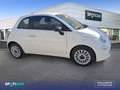 Fiat 500 1.0 Hybrid 51KW (70 CV) Cult Gris - thumbnail 4