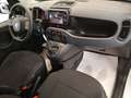 Fiat Panda 1.0 hybrid Cross * VARIE COLORAZIONI * Blu/Azzurro - thumbnail 12