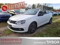 Volkswagen Eos 1.4 TSI ParkAssist PDC SHZ SD LM Weiß - thumbnail 2
