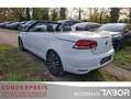 Volkswagen Eos 1.4 TSI ParkAssist PDC SHZ SD LM Blanco - thumbnail 4