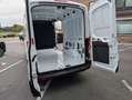 Ford Transit 2T Trend 350L L3H2 2.0TDCi 170pk A6 automaat Blanco - thumbnail 7