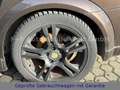 Opel Signum Cosmo*irmscher*GAS-ANLAGE*BASTLER* Silber - thumbnail 14