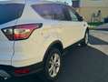 Ford Kuga Kuga 1,5 TDCi Titanium Start/Stop Titanium Weiß - thumbnail 3