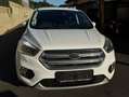Ford Kuga Kuga 1,5 TDCi Titanium Start/Stop Titanium Weiß - thumbnail 1