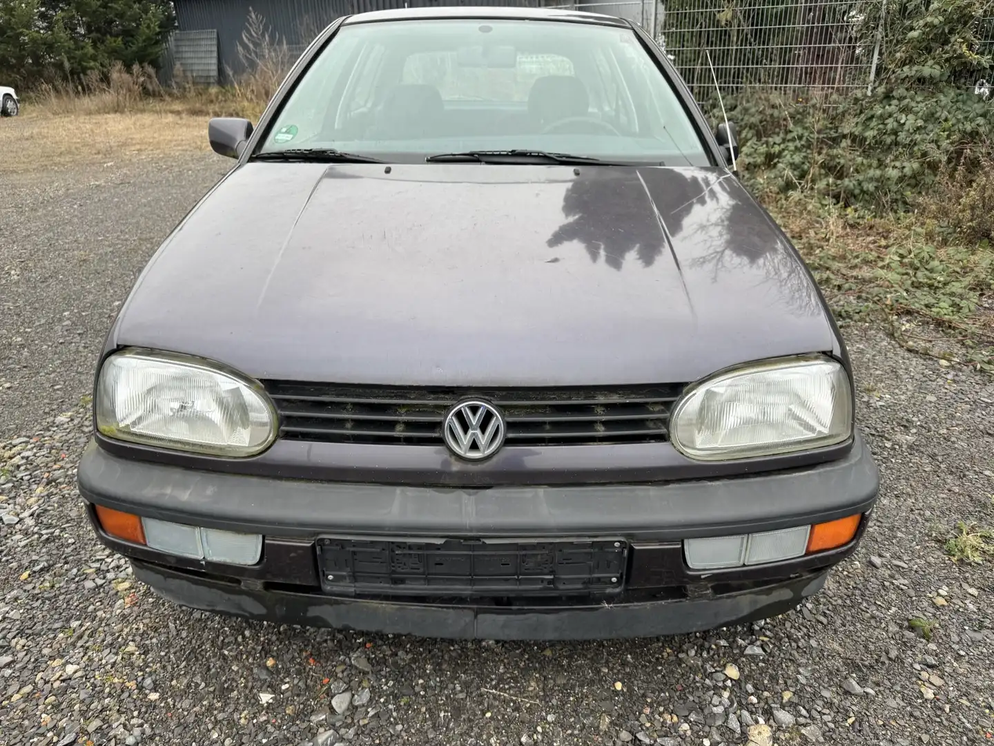 Volkswagen Golf 3 1.6 Scheunenfund 61tkm kein Papiere - 2