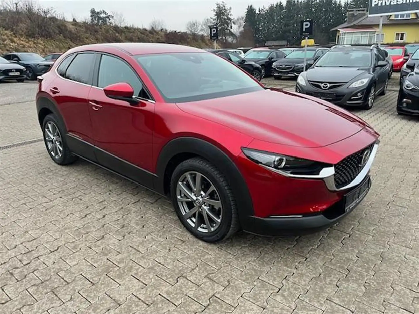 Mazda CX-30 G122 Comfort+/SO/ST/PR/TE inkl. Winterräder Rot - 2