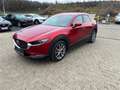 Mazda CX-30 G122 Comfort+/SO/ST/PR/TE inkl. Winterräder Rot - thumbnail 1