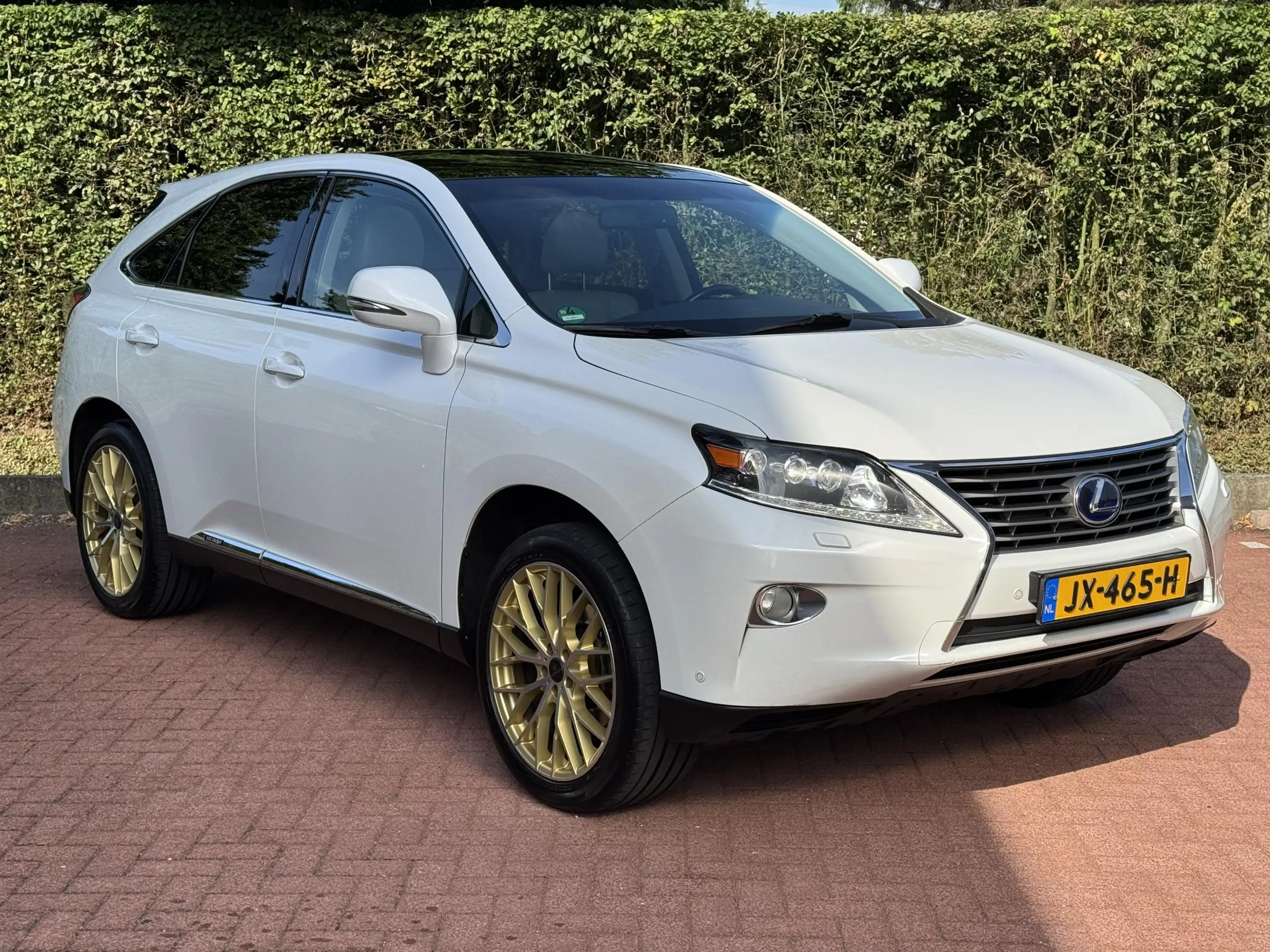 Lexus RX 450h 4WD President Zeer Netjes Trekhaak Dealer — photo 15