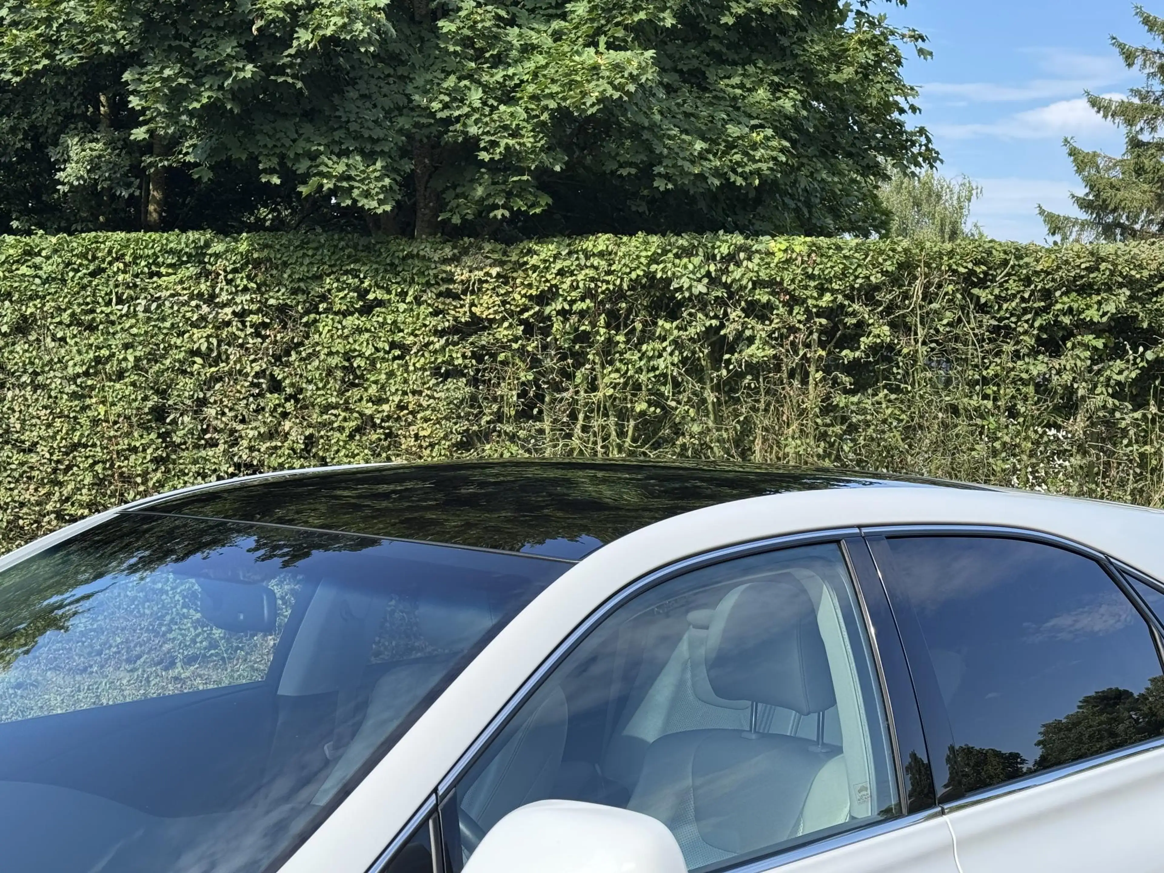 Lexus RX 450h 4WD President Zeer Netjes Trekhaak Dealer — photo 10