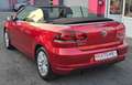 Volkswagen Golf VI Cabriolet 1.2 TSI BMT Life|Navi|AHK Rot - thumbnail 3