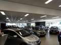 Fiat 500 1.0 Hybrid Sport // PANORAMA / SPORTUITVOERING / B Wit - thumbnail 16