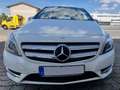 Mercedes-Benz B 220 CDI BlueEFF 7G-DCT * PANO * LEDER * XENON *EU6* Alb - thumbnail 2