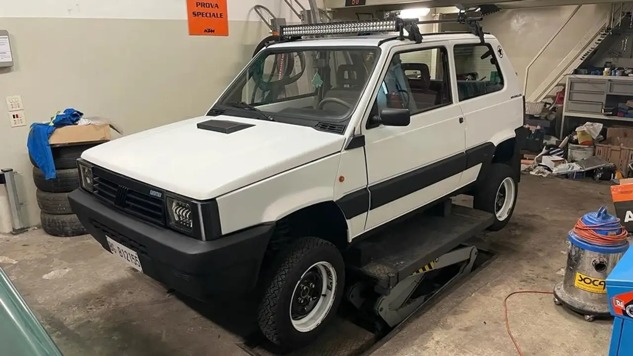 Fiat Panda 1.0 Trekking 4x4, foto 1