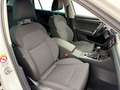 Skoda Superb Combi Style 2.0 TDI DSG 110kW AHK Standheizung Weiß - thumbnail 17