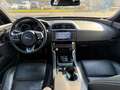Jaguar XE R-Sport/Navi/Xenon/Kamera/Leder/TOP Weiß - thumbnail 13